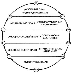 Жизненные циклы человека